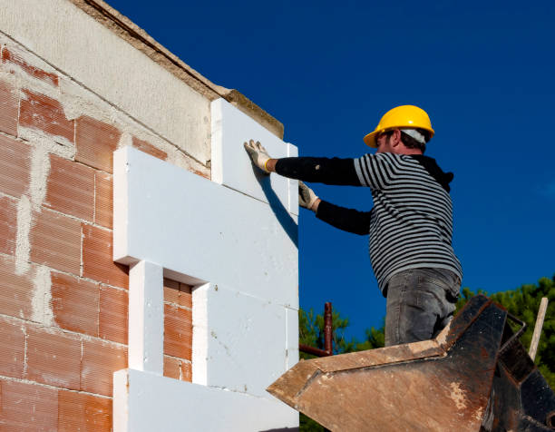 Best Fiberglass Insulation in Rosita, TX