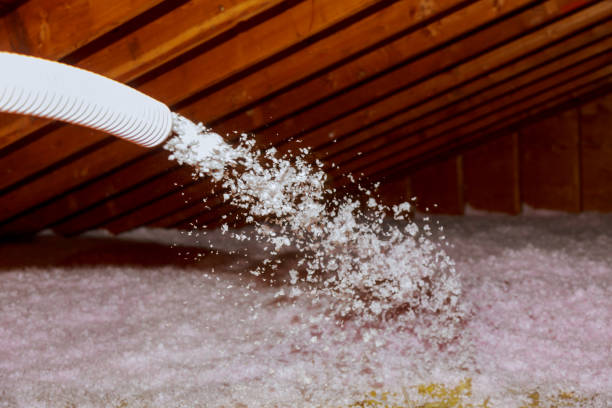 Types of Insulation We Offer in Rosita, TX