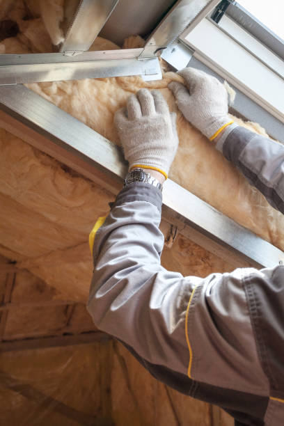 Best Commercial Insulation in Rosita, TX