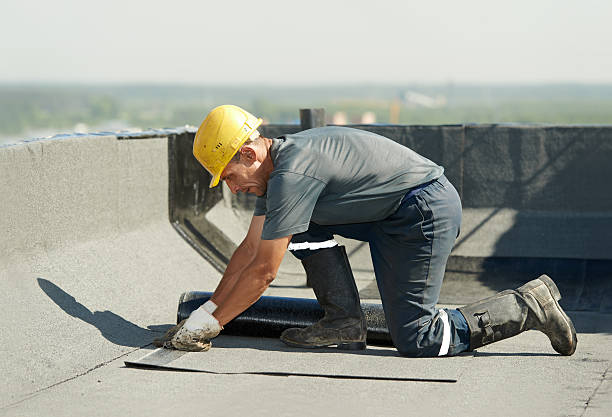 Best Insulation Maintenance and Repair in Rosita, TX