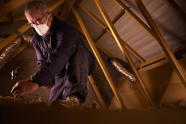 Trusted Rosita, TX Insulation Contractor Experts
